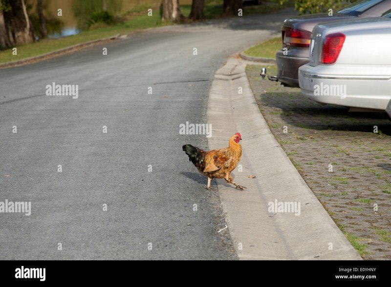 Spain - chicken road oficial