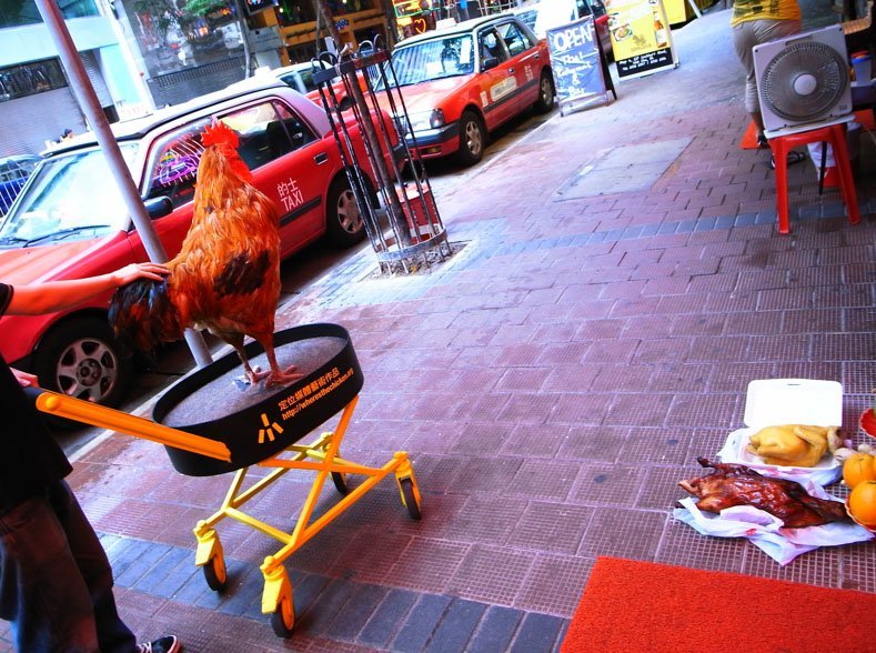 Welkom bij Chicken Road Casino: Speel het Online in Nederland